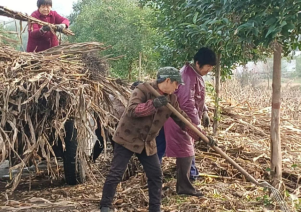 1533248988452157_content.png 1533248988452157_content.png